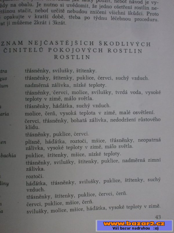 Pokojové květiny - autor Jan Sítař