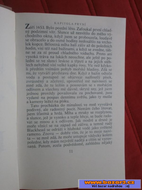 Daphne du Maurier - Králův generál