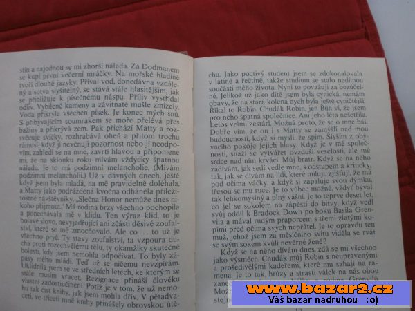 Daphne du Maurier - Králův generál