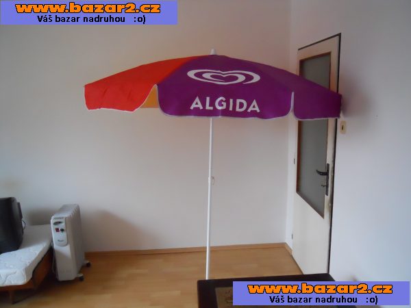 Slunečník