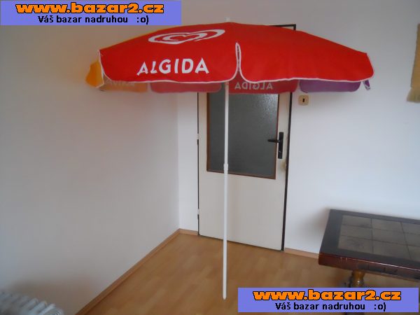 Slunečník