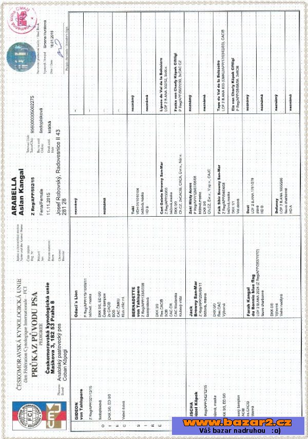 Anatolský pastevecký pes-štěňata PP