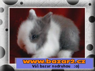 TEDDY MIMI S VP