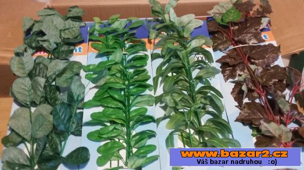 Akvarijní rostliny XXL