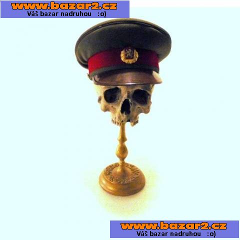 Replika lidské lebky (human skull replica)