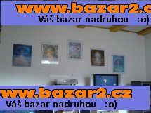 Prodám moderní domek 4+1 s pozemkem