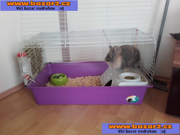 Prodám Králíčka Lilinku + klec, vybavení a cestovní taška :)