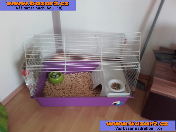 Prodám Králíčka Lilinku + klec, vybavení a cestovní taška :)