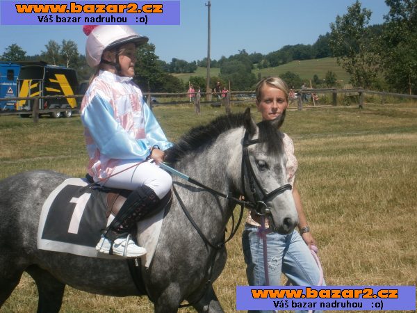 klisna pony 7let