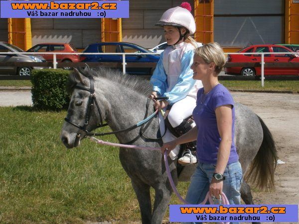 klisna pony 7let