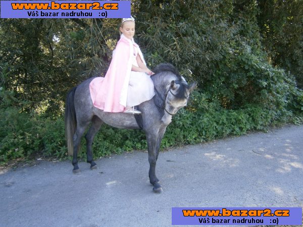 klisna pony 7let
