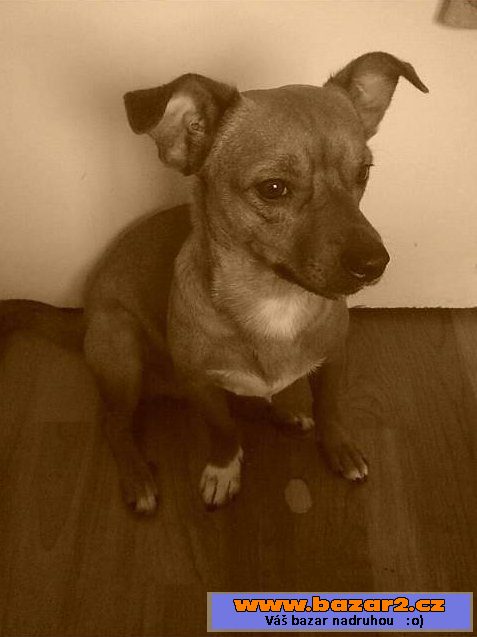 Marley