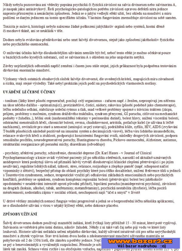 ŠALVĚJ DIVOTVORNÁ-SALVIA DIVINORUM