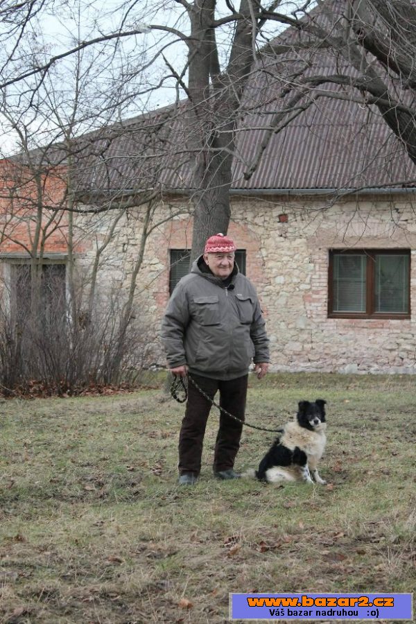 Punťa stále hledá nový domov!