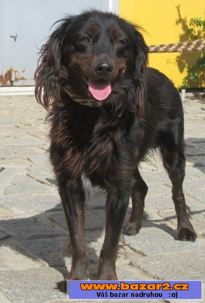 náhled