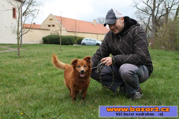 Usměvavý Lišák si zaslouží domov!