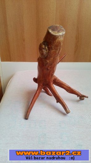 Kořeny do terária cena za ks 100 kč