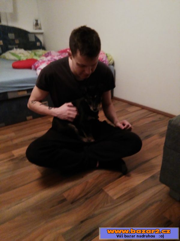 Prodame 3 mesicni fenku 