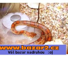 LF-012 Mlhovací přístroj -zvlhčovač