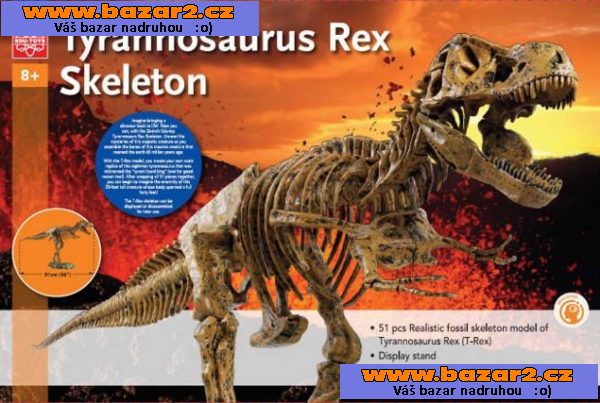 Tyranosaurus Rex kostra 91cm