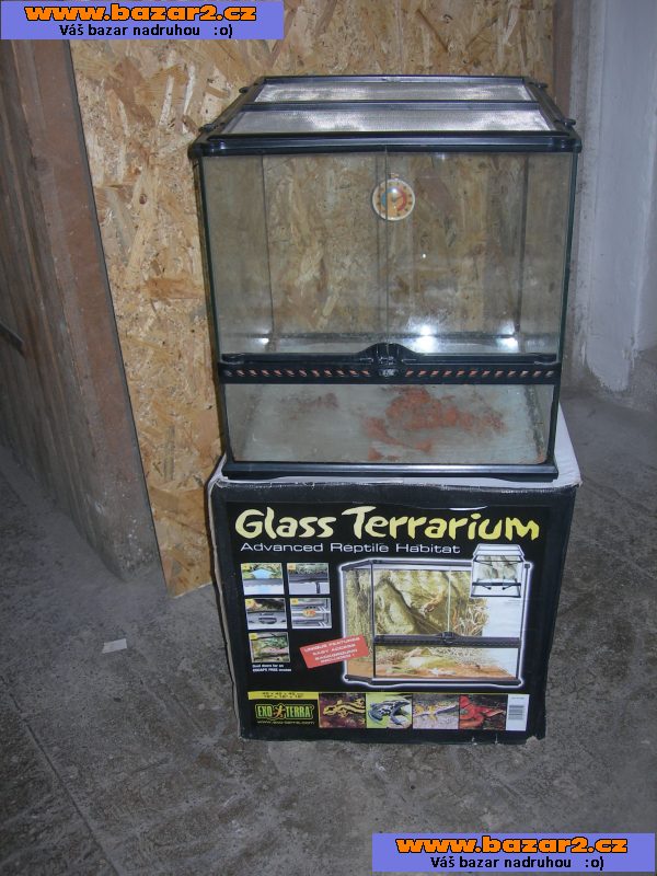 Terárium