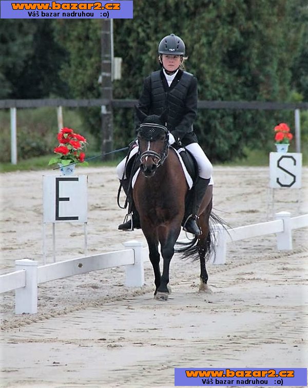 Jezdec.pony WPBR,klisna,KVH 126 cm,skokov.drezúr.