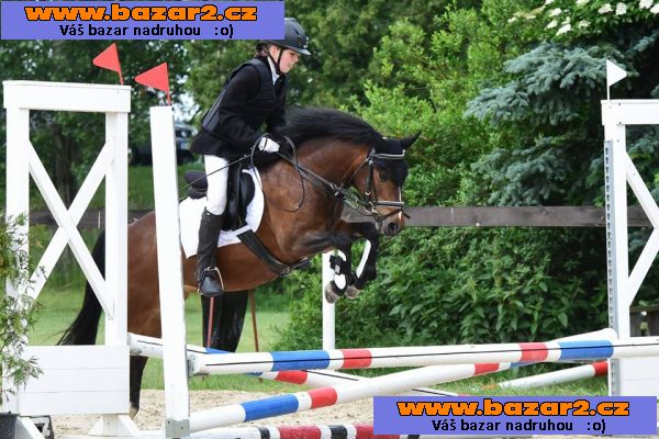 Na prodej klisna WPBR, KVH 126 cm,nar.15.5.2005