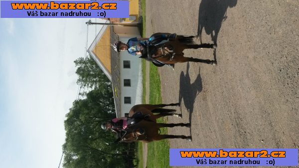 Na prodej klisna WPBR, KVH 126 cm,nar.15.5.2005
