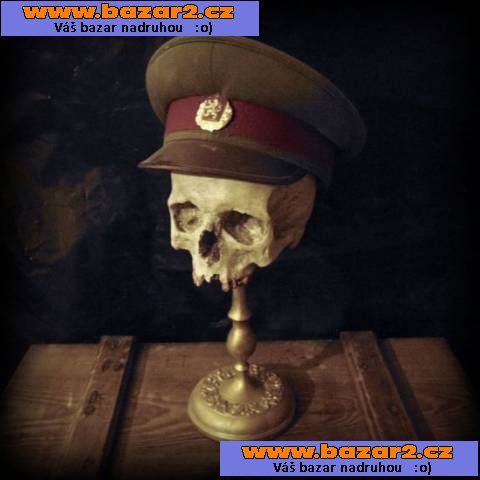 Lidská lebka (human skull replica)
