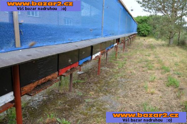 Květový med od včelaře