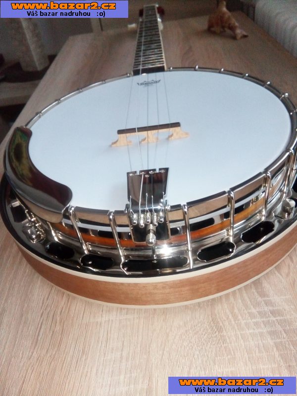 prodám banjo Recording King