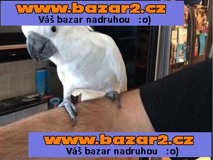 náhled