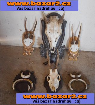 lovecké trofeje více kusů viz. foto
