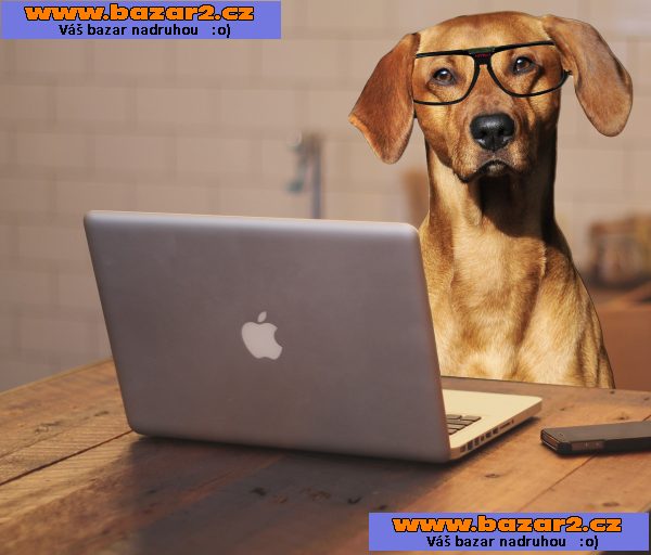 VELMI VÝHODNÝ WEBHOSTING PRO VŠECHNY  !!!