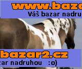 Připouštění homozygotním hřebcem Apha