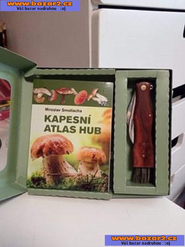 náhled