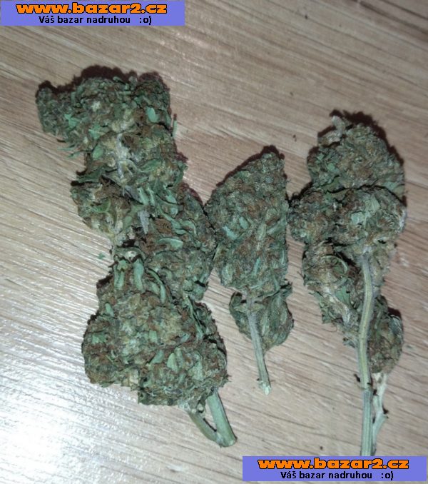 CBD květy, hash i drť