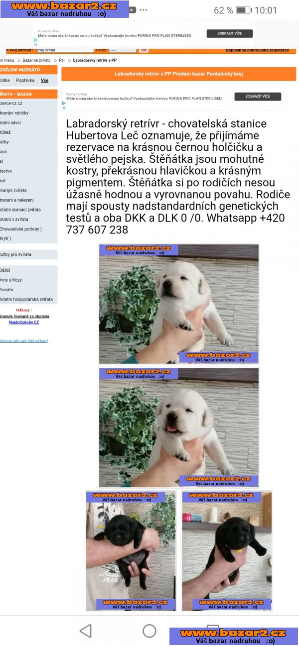 náhled