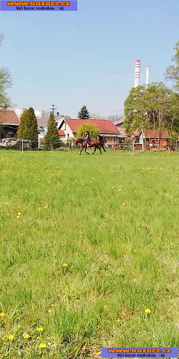 Hledáme ježdění 
