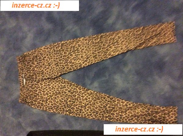 Leopardi leginy