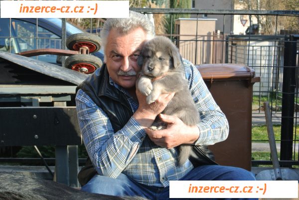 náhled