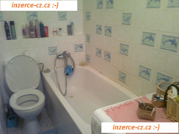 Pronájem bytu 1+1 ul.Schwaigrova,Komárov