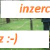 Vyhledám prameny, geopatogenní zóny - pozemky, byty, stav. parcely.