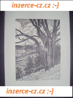 Jiráskovo Padolí - linoryty Zd. Gaudla