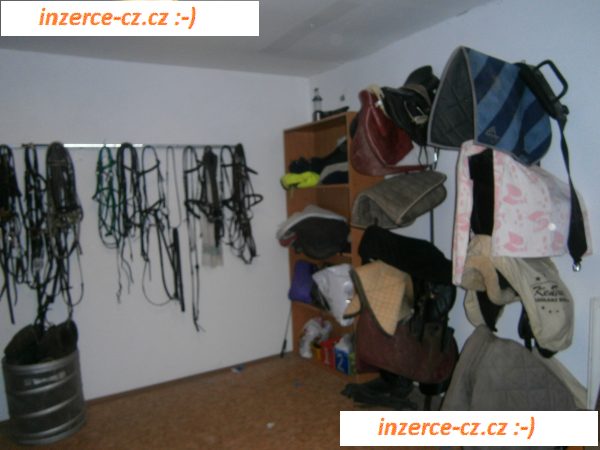 Volné 2 boxy od 10.5.