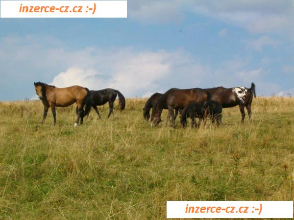 Tábor na farmě