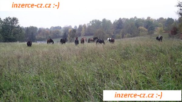 Ustájení na léto