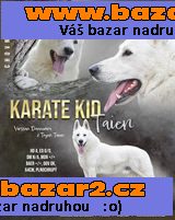 Bílý Švýcarský ovčák s PP