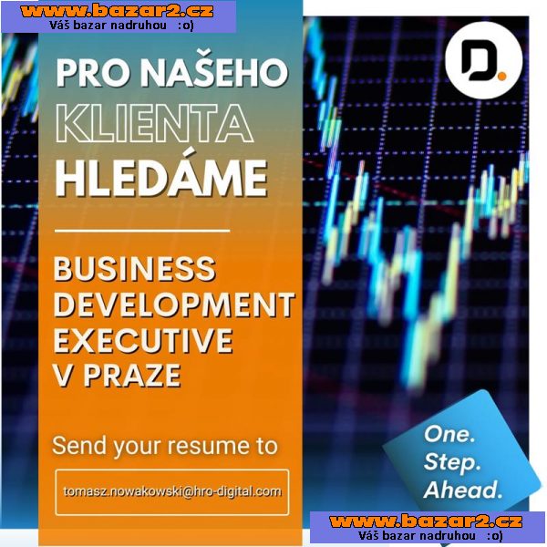 Hledáme Business Development Executive-2, inzerce-cz.cz Hledáme Business Development Executive
