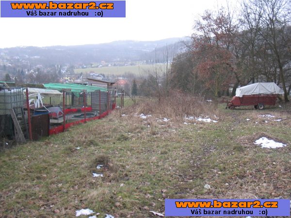 náhled